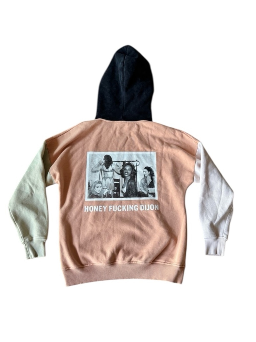 Honey Fucking Dijon Small Hoodie Colorblock Tina Paul